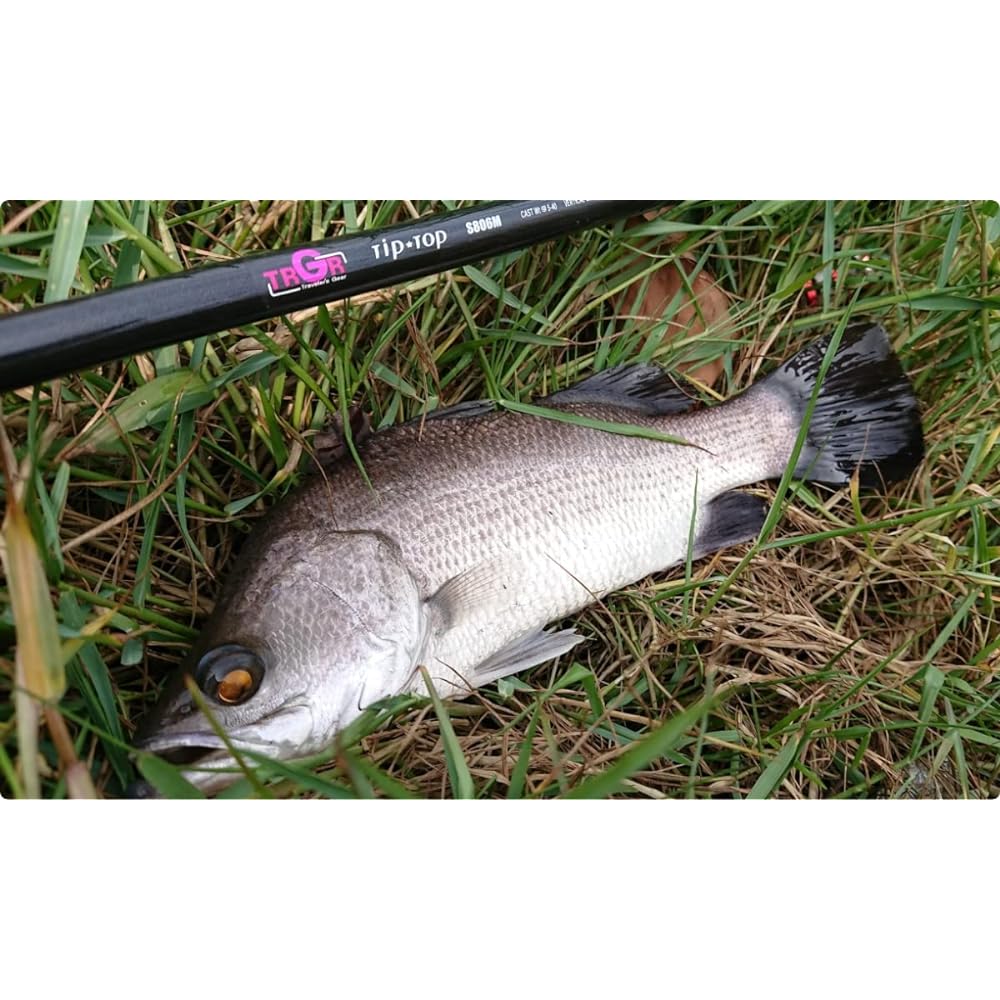 Alpha Tackle (Trgr) Rod TIPTOP Tip Top C705MH