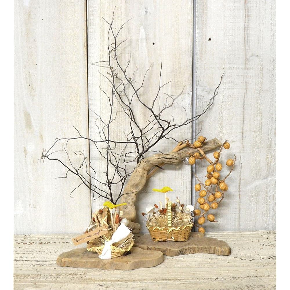 azi-azi Design Accessory Beige Size: Approx. 3.2 x 5 x 1.7cm (per piece)