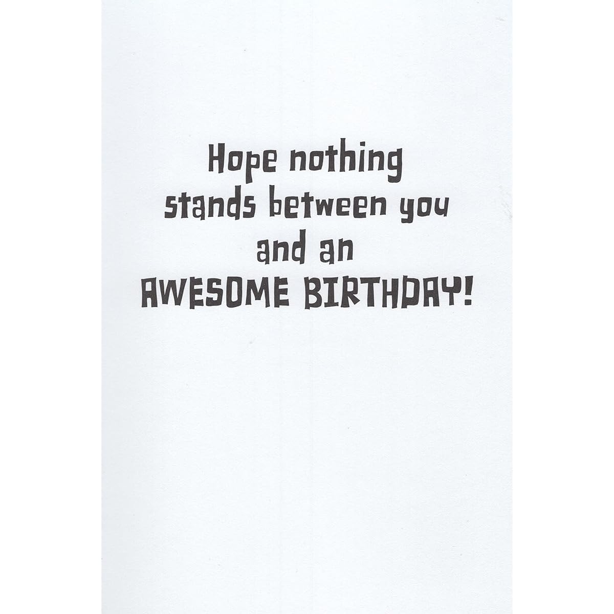 Teenage Mutant Ninja Turtles Happy Birthday Card - Hoping Nothing Stand Between You and an Awesome Birthday!