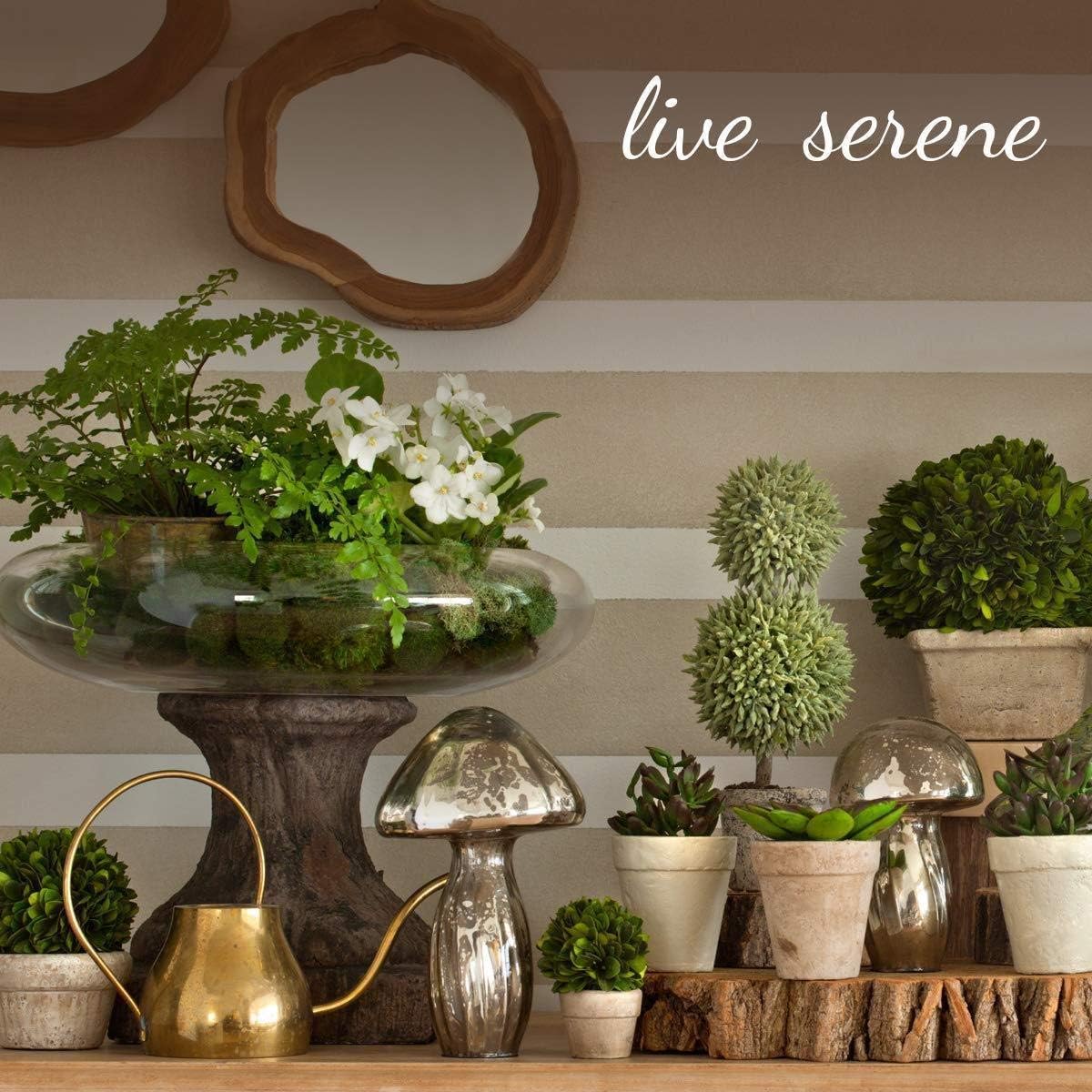 Serene Spaces Living Gardenia Christmas Garland, 5.5' Long