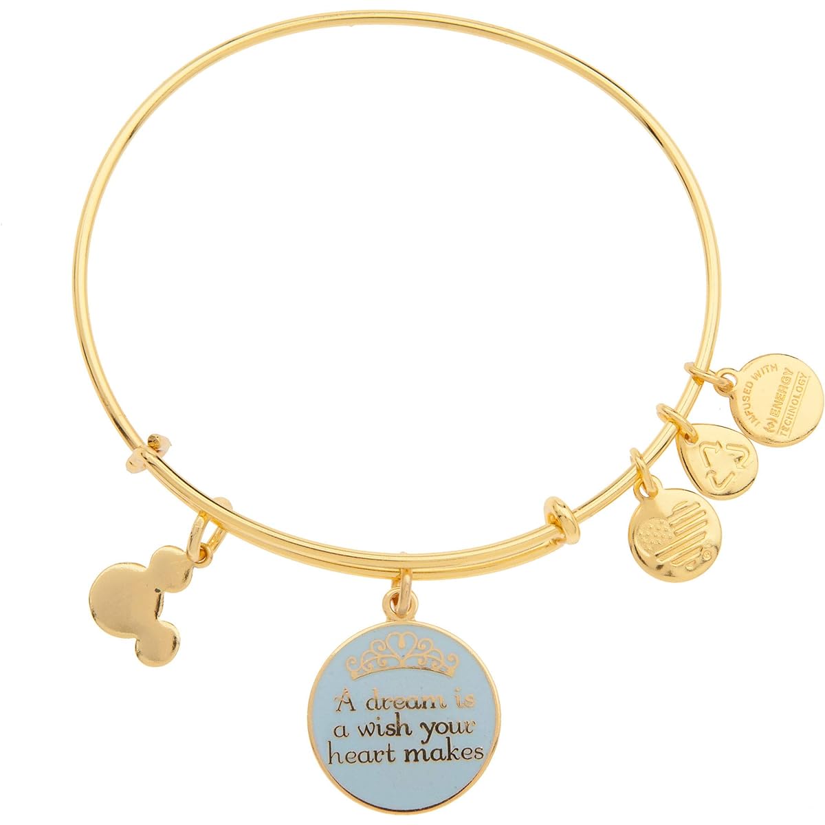 Disney Parks Alex and Ani Dream is a Wish Gold Charm Bangle Bracelet