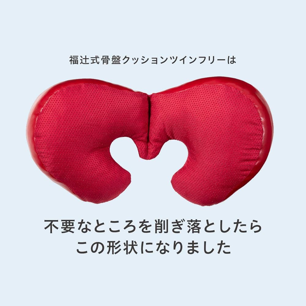 PROIDEA Fukutsuji Pelvic Cushion Twin Free