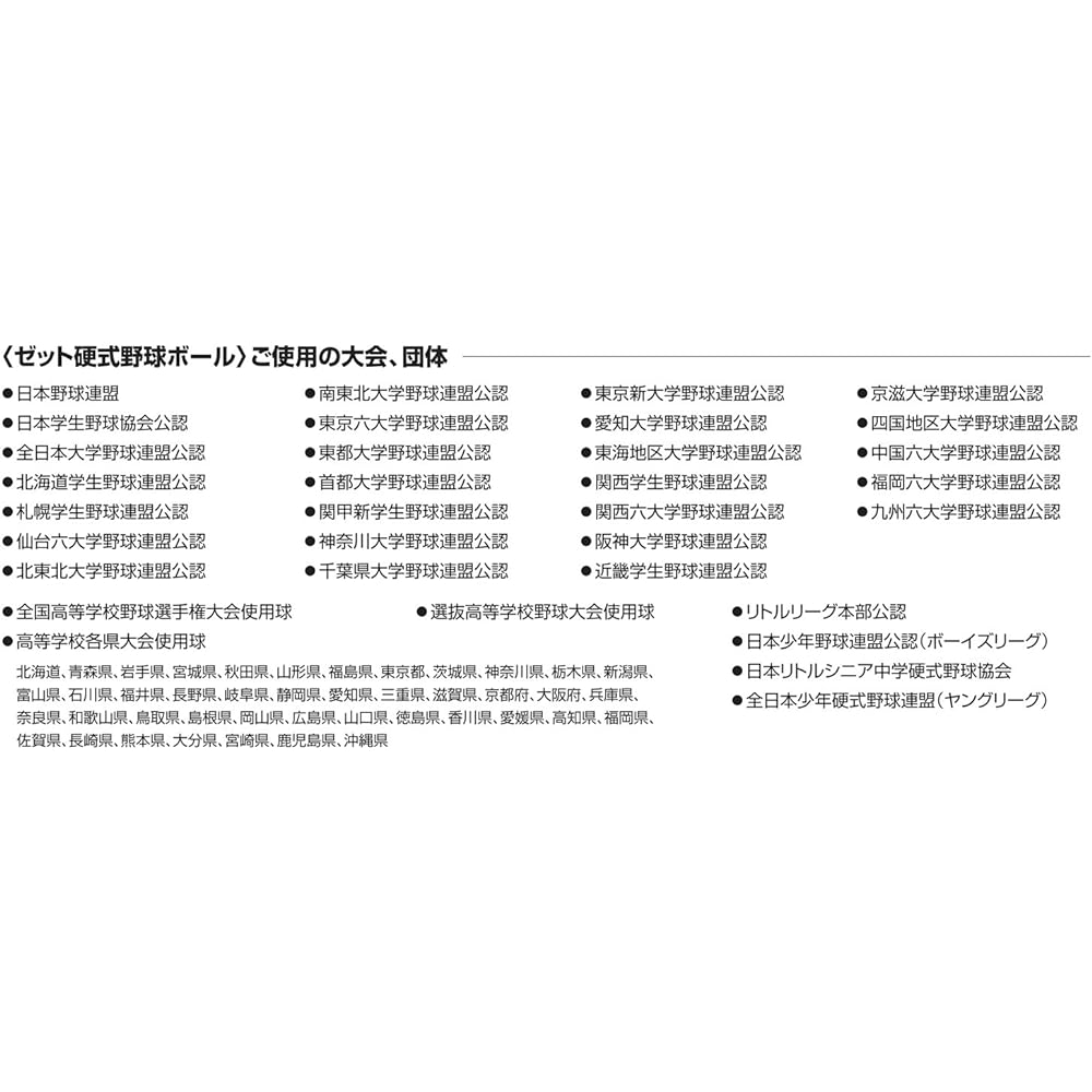 ZETT Youth Baseball Hardball Ball (1 dozen/12 balls for young league games) BB1116D