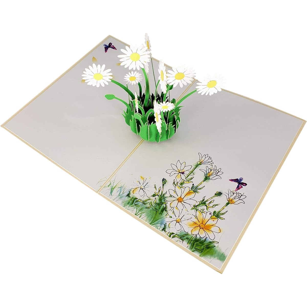 iGifts And Cards Cute White Daisy Pop-up Greeting Card – Cheerful Happiness Uplifting Elegant Don't Miss Mother's Day Get Well, Thinking of You