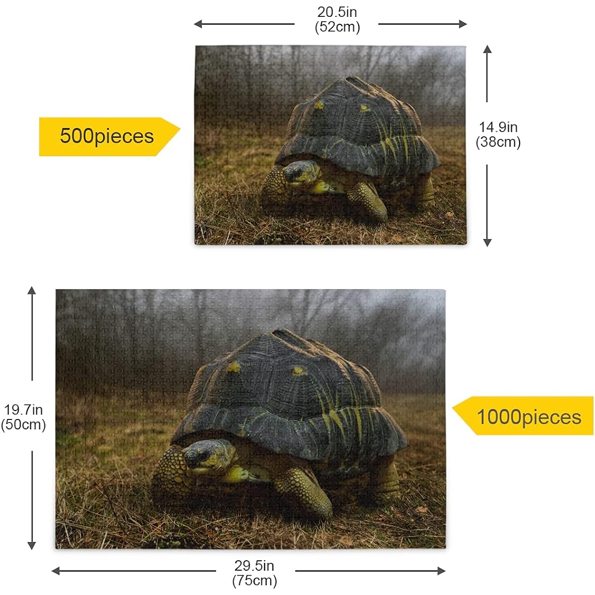 Hermann's Tortoise Jigsaw Puzzle 1000 Pieces for Adults Teens Turtles Wildlife DIY Wall Art Intellectual Decompression Educational Fun Game