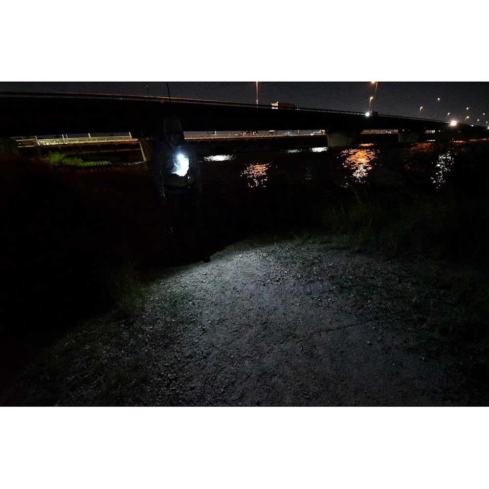 Fuji Toki Zexus LED Light ZX-S