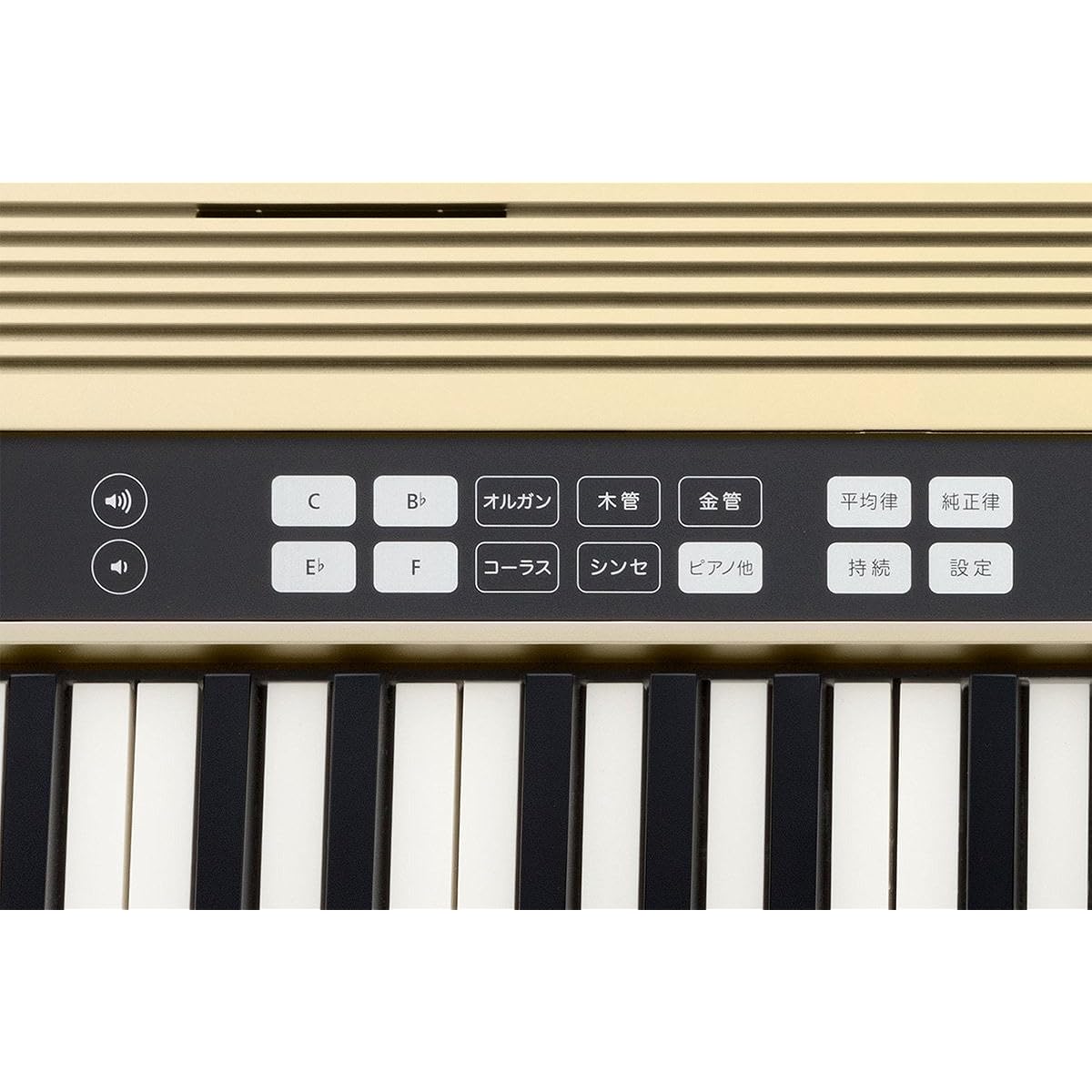 Roland Roland/JUSTY HK-100 Harmony & Rhythm Practice Keyboard