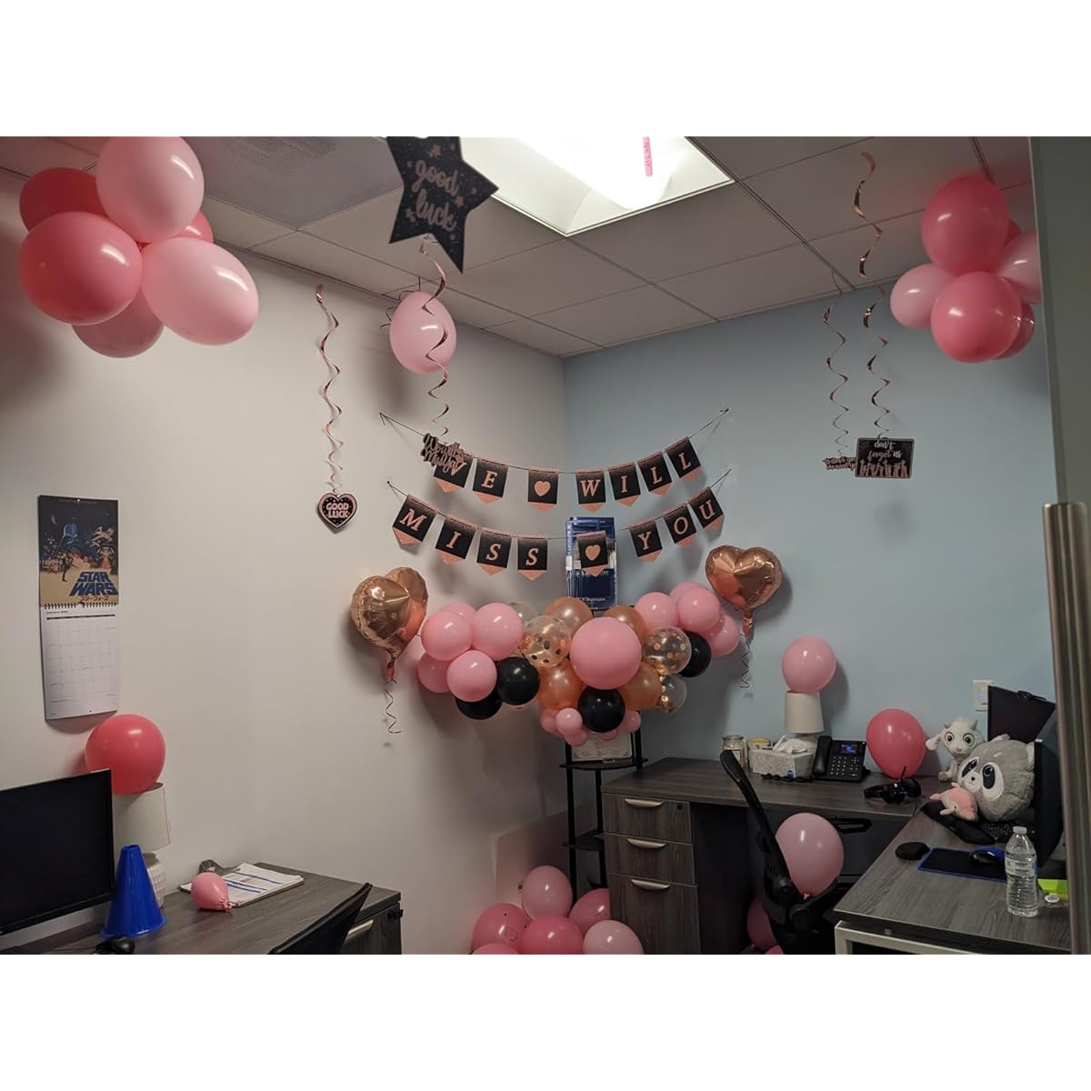 Rose Gold Farewell Party Decorations,We Will Miss You Banner,Going Away Party Decorations for Colleague Goodbye,Rose Gold Hanging Swirl Balloon Cupcake Topper Decorations,Retirement Party Supplies