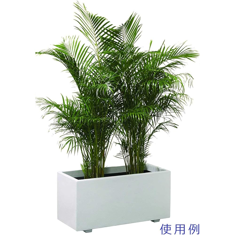 Daiwa Plastic White Planter, Perforated Bottom, 700 x 310 x H320, W-70 Type, White