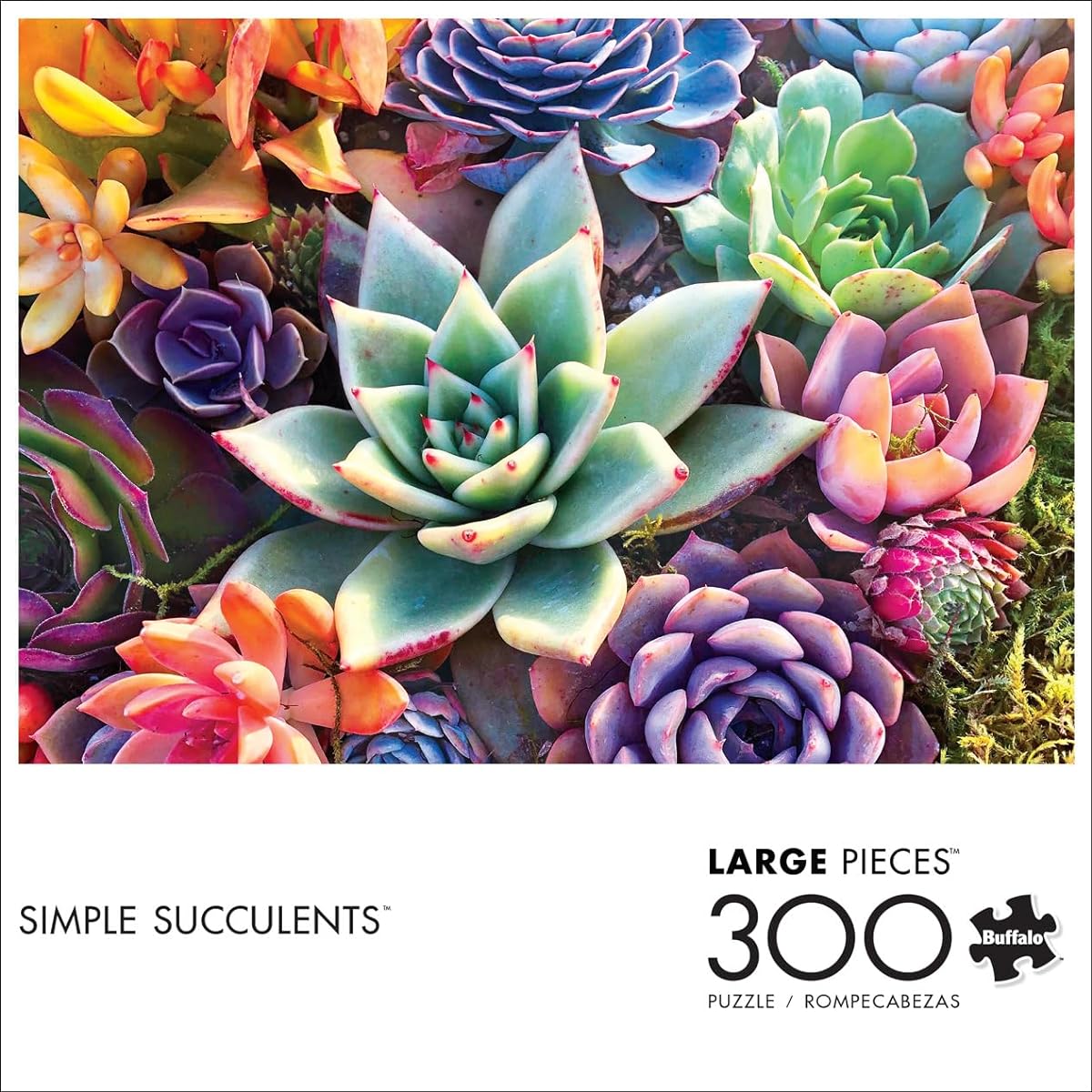 Buffalo Games - Simple Succulents - 300 Large Piece Jigsaw Puzzle for Adults PERFECT FOR GAME NIGHT - 300 piece completed puzzle measures 21.25 x 15.00.