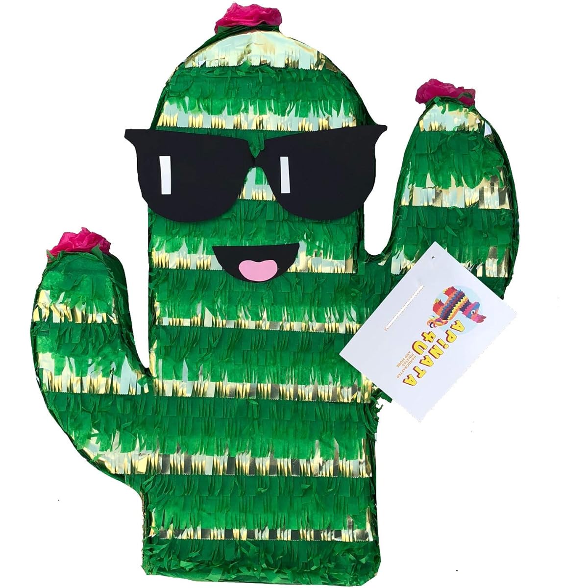 APINATA4U Cactus Pinata Sunglasses Fiesta Theme Party Favor