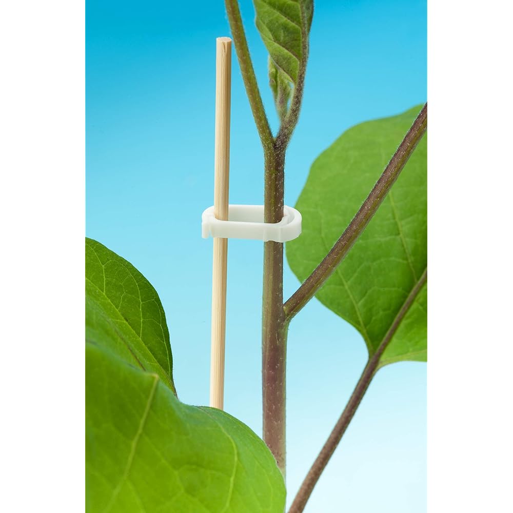 Seam Seedling Support Material Support Mini (5,000 pieces) Pink 5000P Pink
