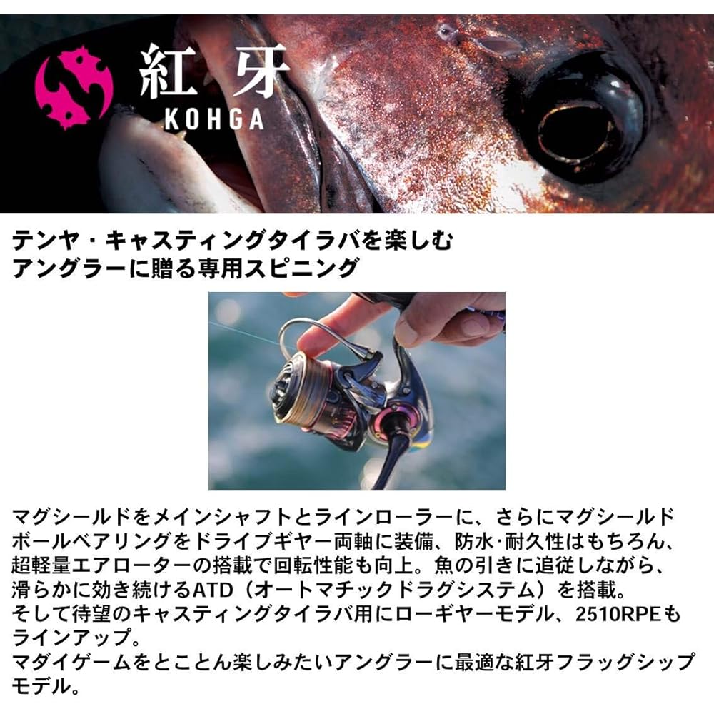 DAIWA spinning reel 17 Koga EX (2017 model)