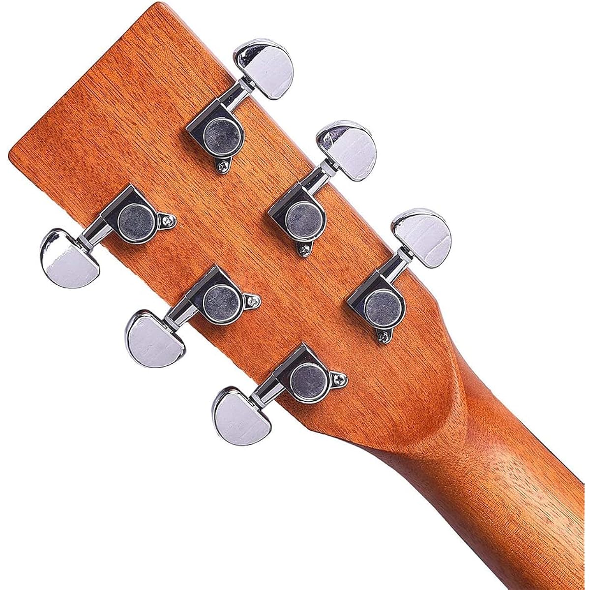 Kadence Guitar Acoustica Series, Electric Acoustic Guitar, Ash Wood, Built-in Pickup Tuner (Ash Wood, Electro Acoustic)