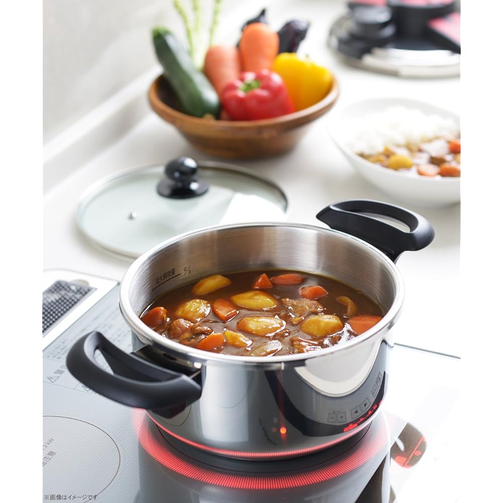 Aoyagi Corporation NEW Bordeaux Stainless Steel Two Hand Pressure Cooker 6L 23002 Silver