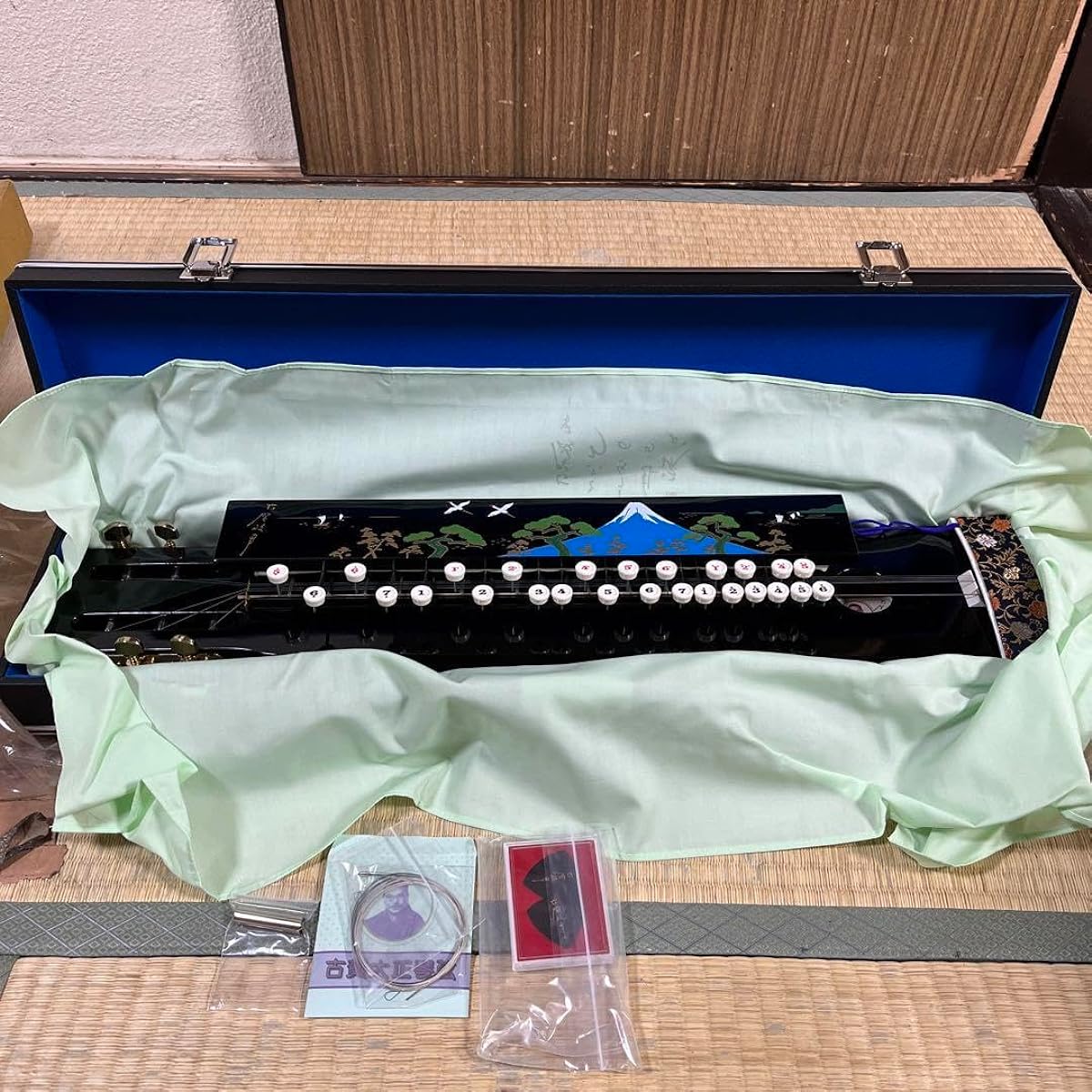Taishogoto Masao Koga Hard case pick Stringed instrument Japanese instrument EQ