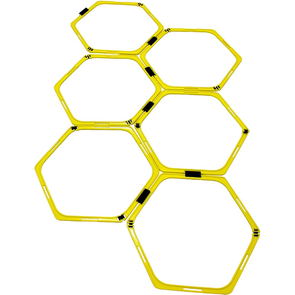 SAKURAI Training Ladder Hurdle Set with Carry Bag PWF-053