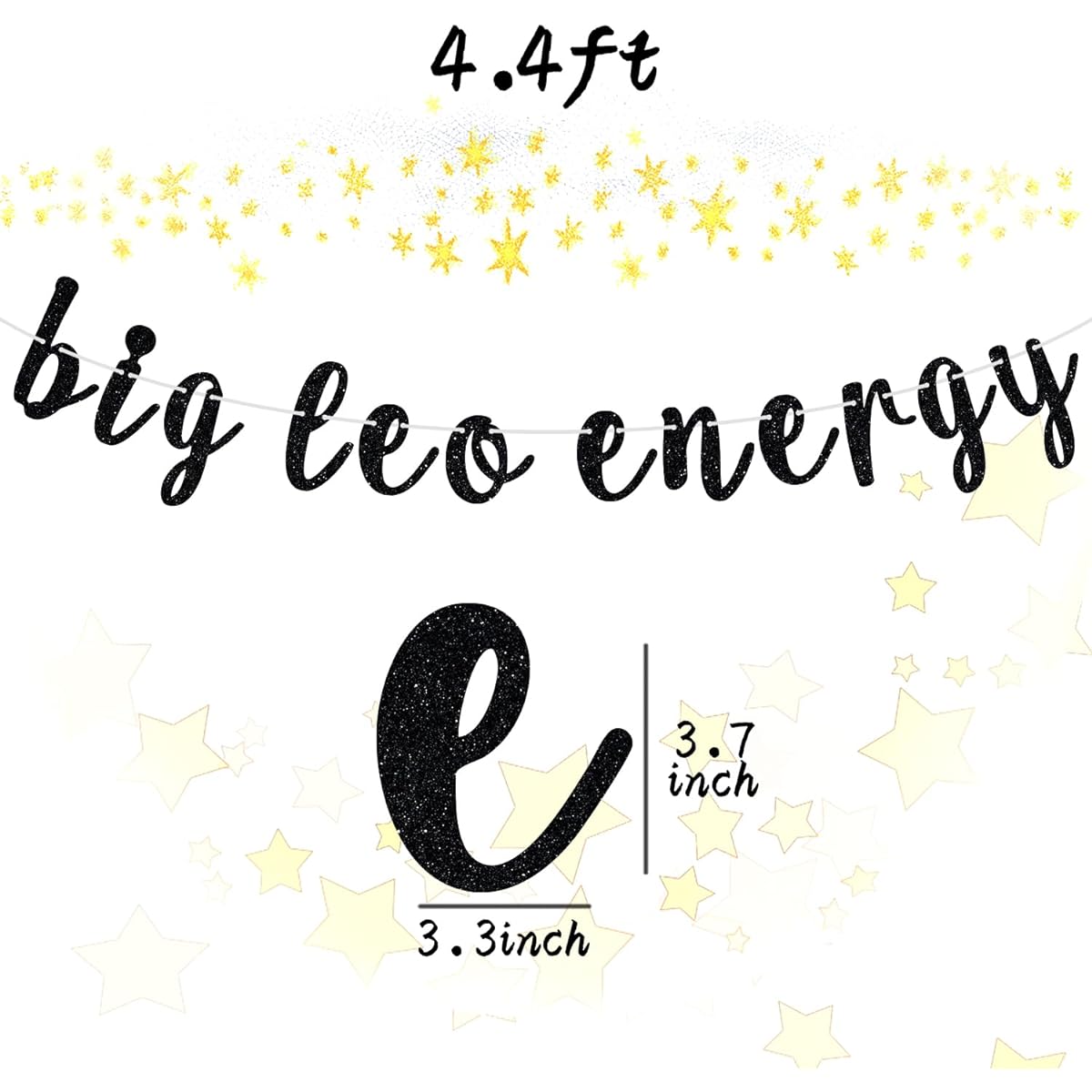 Big Leo Energy Banner Happy Birthday Leo Horoscope Star Sign 12 Zodiac Signs Theme Birthday Party Decorations Supplies for Boys and Girls Black Glitter