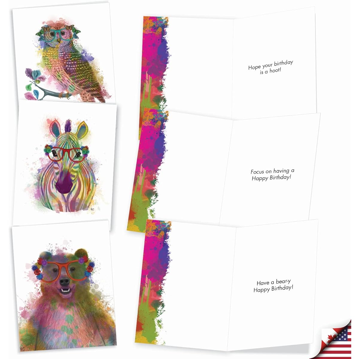 The Best Card Company 20 Birthday Notecards Assorted Box Set 4 x 5.12 Inch with Envelopes (10 Designs, 2 of Each) Funky Rainbow Wild Animals AM4948BDG-B2x10
