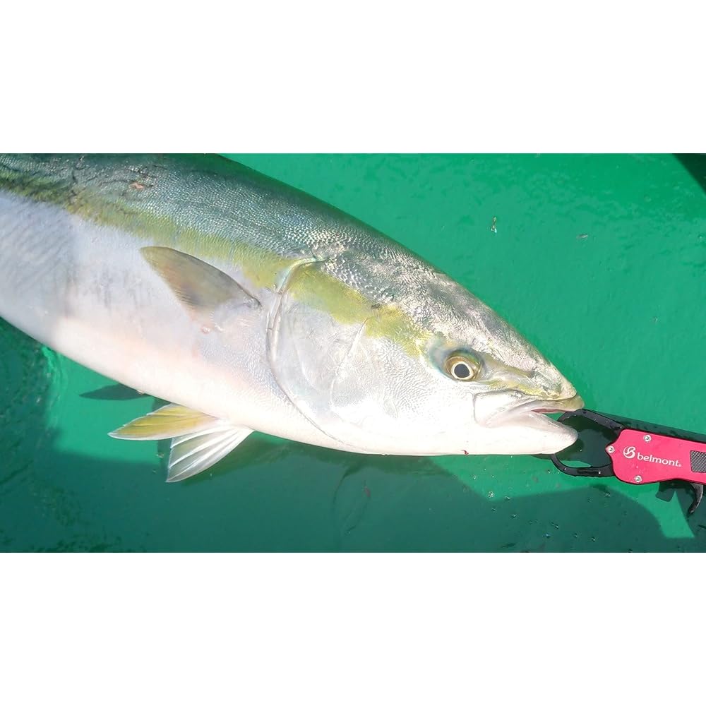 Belmont MR-006 Metal Fish Grip Mini BL