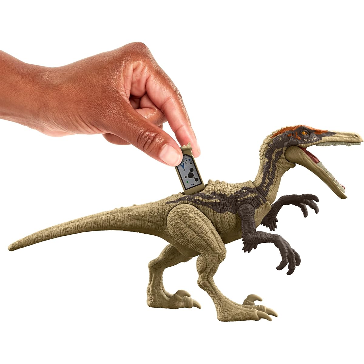 Jurassic World Danger Pack Austroraptor Action Figure