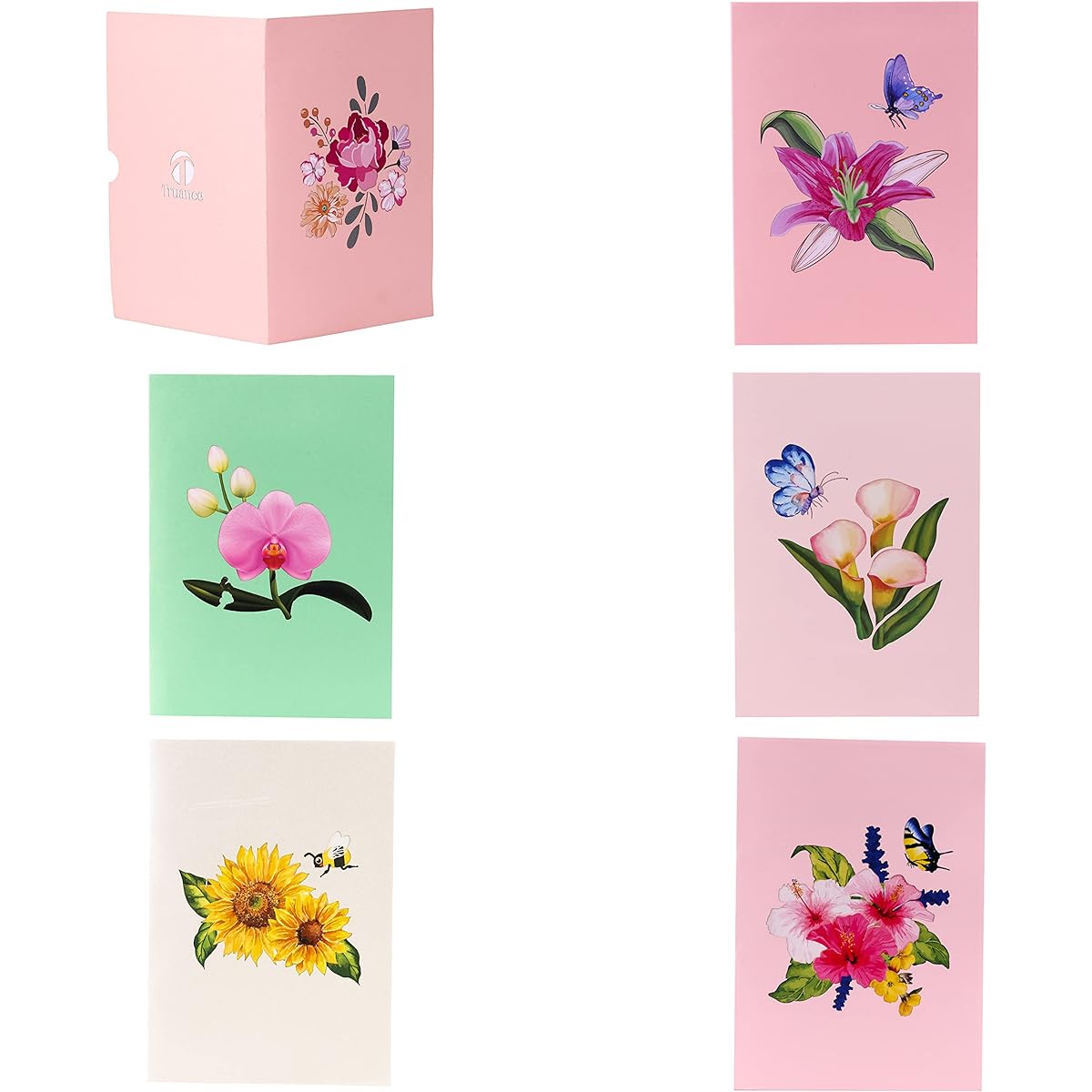 TRUANCE Pop-up Greeting Card Assortment 6 Cards