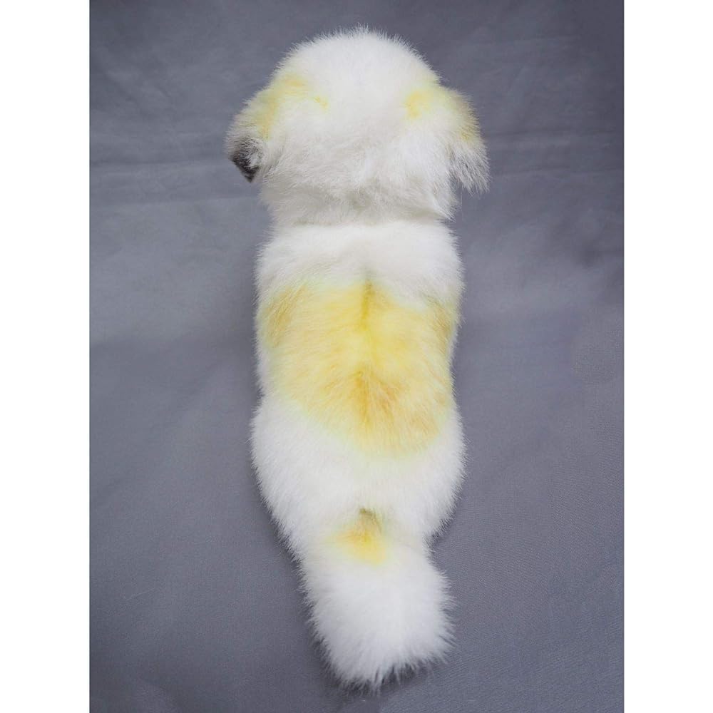 Sanei Boeki Original Plush Graceful (Made in Japan) Half Dog Chihuahua (Chihuahua x Maltese) W11.5 x D20 x H22cm Dog I-5350
