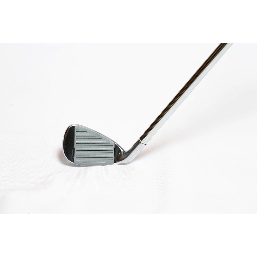 Hirota Golf Mega Golf Swing Practice Machine Iron Silver 36.5 inches 1.2kg