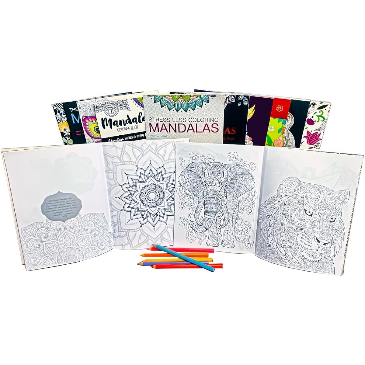 Idea Liftoff Adult Coloring Book Super Set 12-Book Pack - Adult Coloring Book Set of 12 Books Featuring Women's, Men's, Mandala and More | Advanced Coloring Book Set