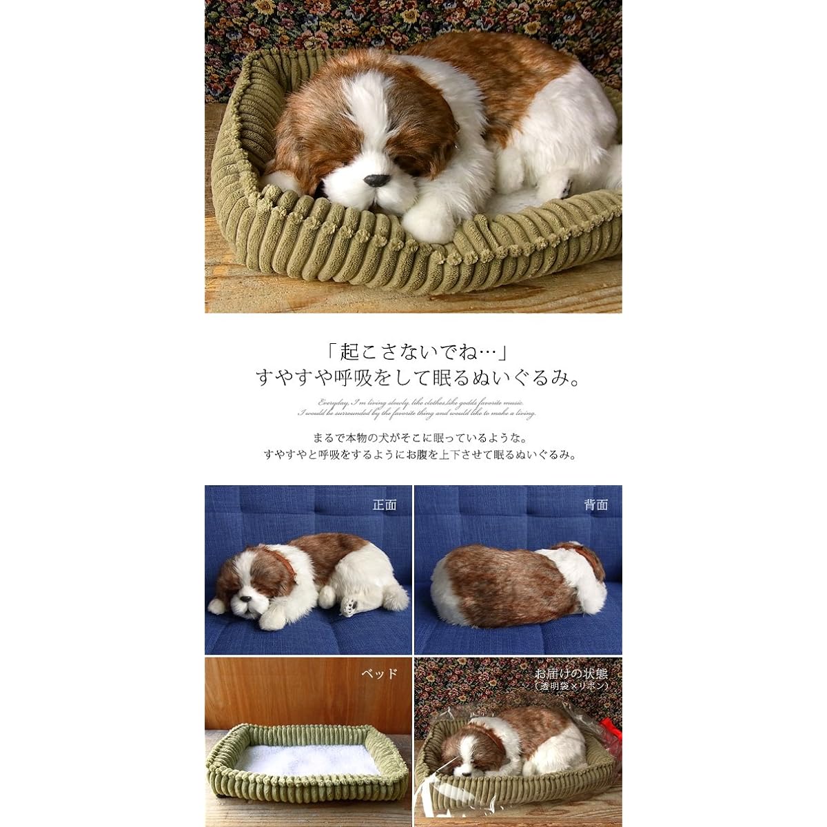 Nini and Kino Perfect Pet (Large Size) Shih Tzu Plush Toy Dog Realistic Look-alike Miscellaneous Goods Animal Healing Moving Present Gift Celebration Cute Dog Stuffed Toy