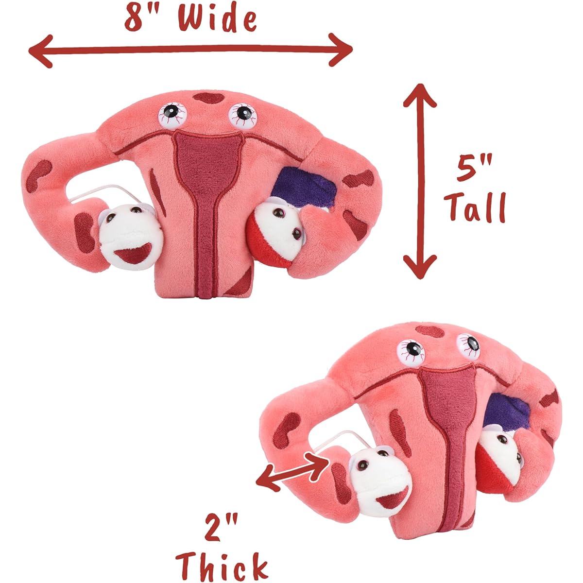 GIANTmicrobes Endometriosis Plush Toy - Learn about health, fertility, and this chronic inflammatory disease Gift for surgery Gift for friends, scientists, students, educators, ob/gyns