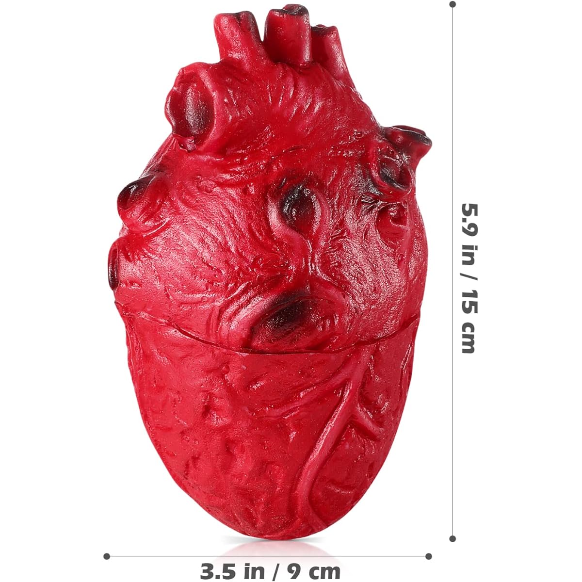 ABOOFAN Halloween Fake Heart Halloween Blood Props Simulation Heart Ornaments Scary Body Parts Real Human Heart Zombie Party Haunted House Decoration Halloween Props