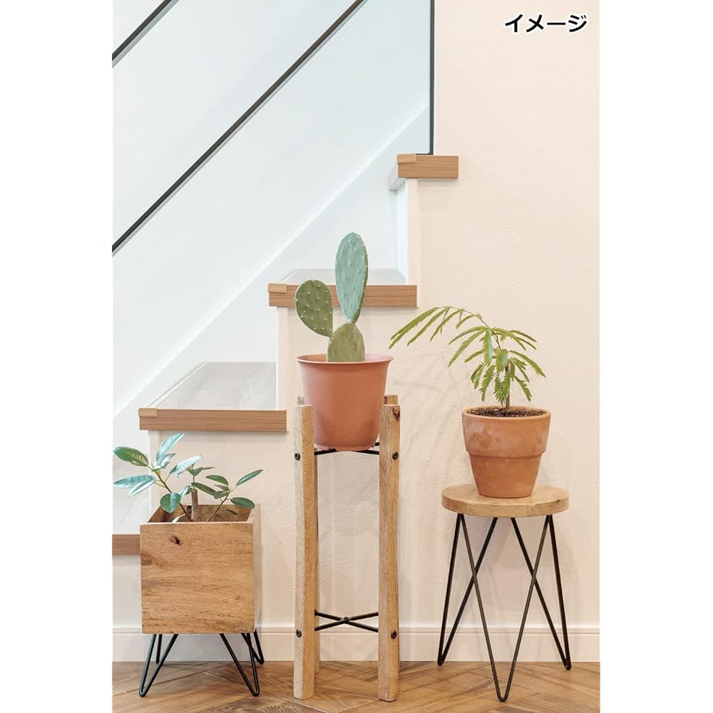 Posh Living Flower Stand Circle Stand 27 x 27 x 50cm 41301