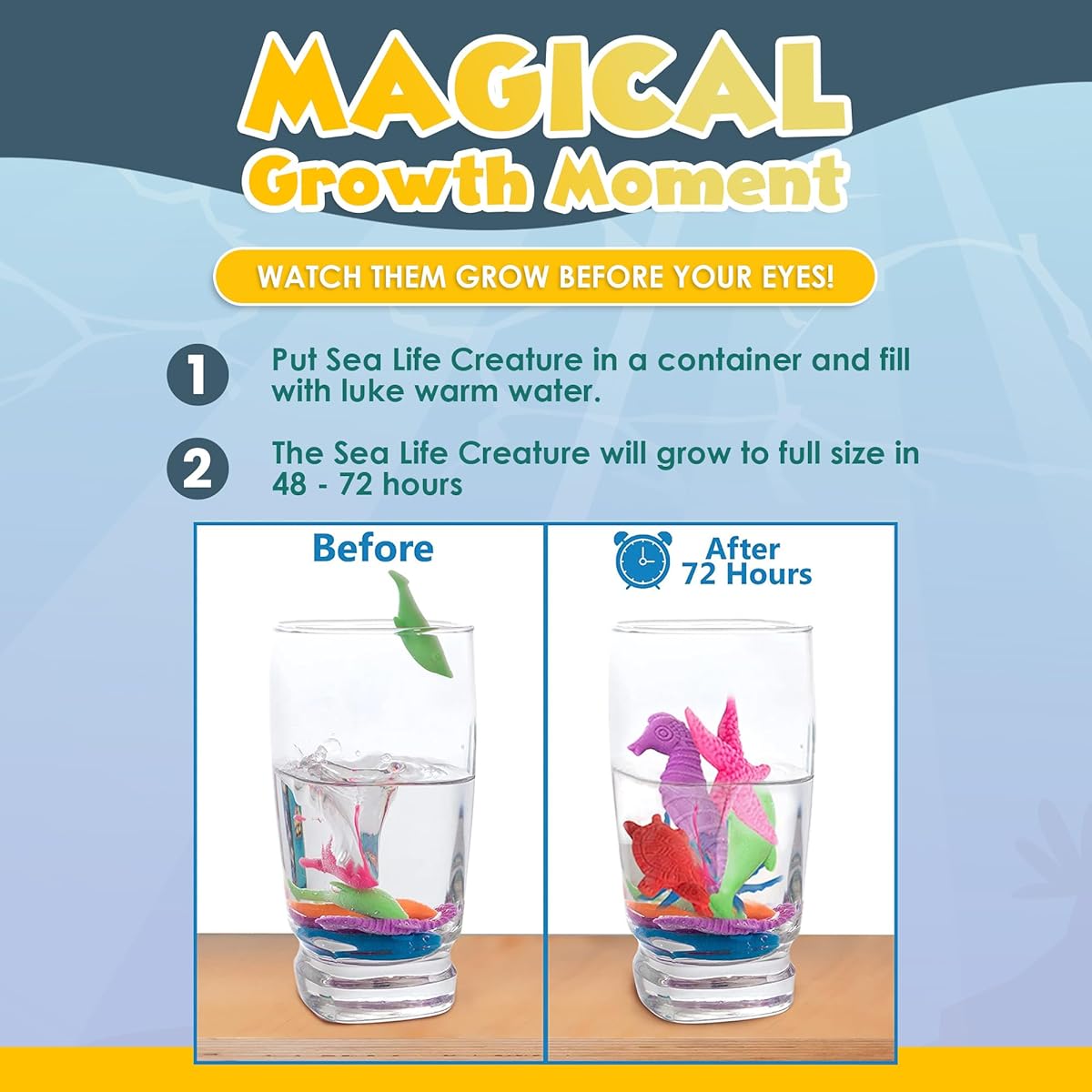 Hydroponic Sea Creatures - Undersea Animals - Pack of 25 - Individually Wrapped Favors - Expandable Animals - Party Supplies Goodie Bag Fillers - Great Gifts for Boys and Girls - Great Easter Egg Fillers