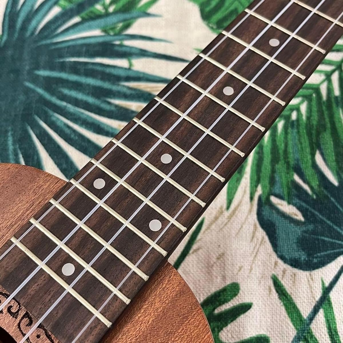 Beginner's Set Music's Soprano Ukulele Ukulele Specialty Store