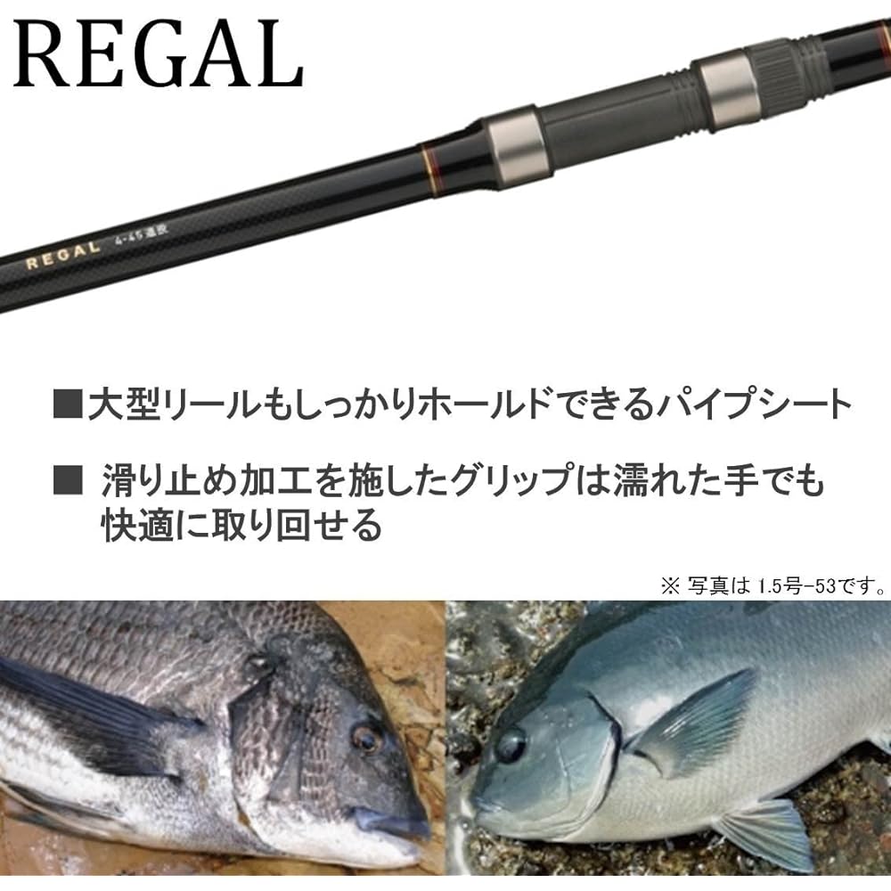 DAIWA Rock Rod/Breakwater Regal No. 3~5 Long Throw