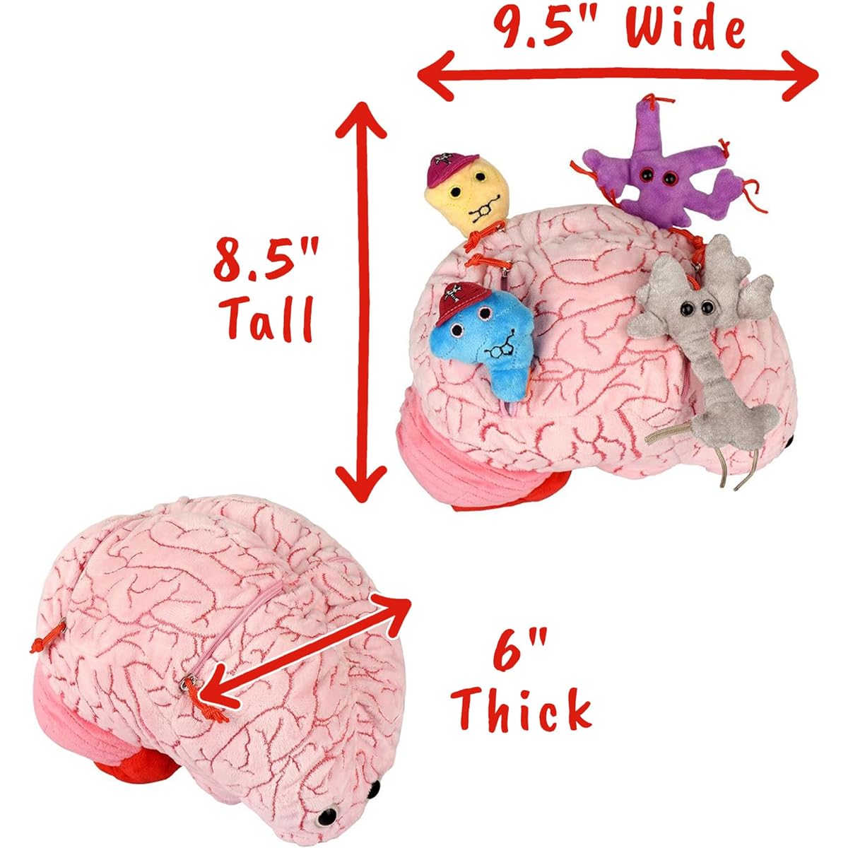 GIANTmicrobes Deluxe Brain with Plush Neurotransmitters - Realistic Anatomical Human Brain Organ, Educational Gift for Scientists, Students, Doctors, Teachers, Neuroscience, Psychology