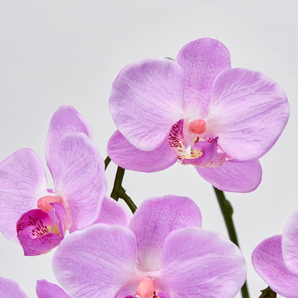 Tokyodo Artificial Flowers MAGIQ AX Pure Orchid 3-Piece (Fallenomily) Flower Diameter 6.5~8.5 x W30 x H40cm 1 Pot ZV008070-050
