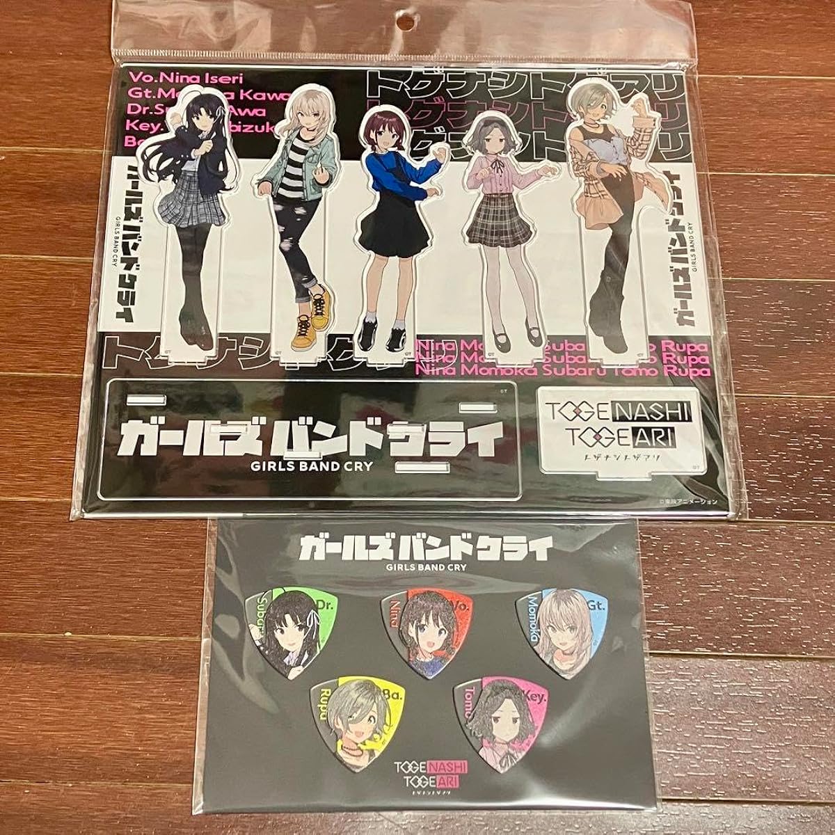 Girls Band Cry Acrylic Stand Pick Set DD