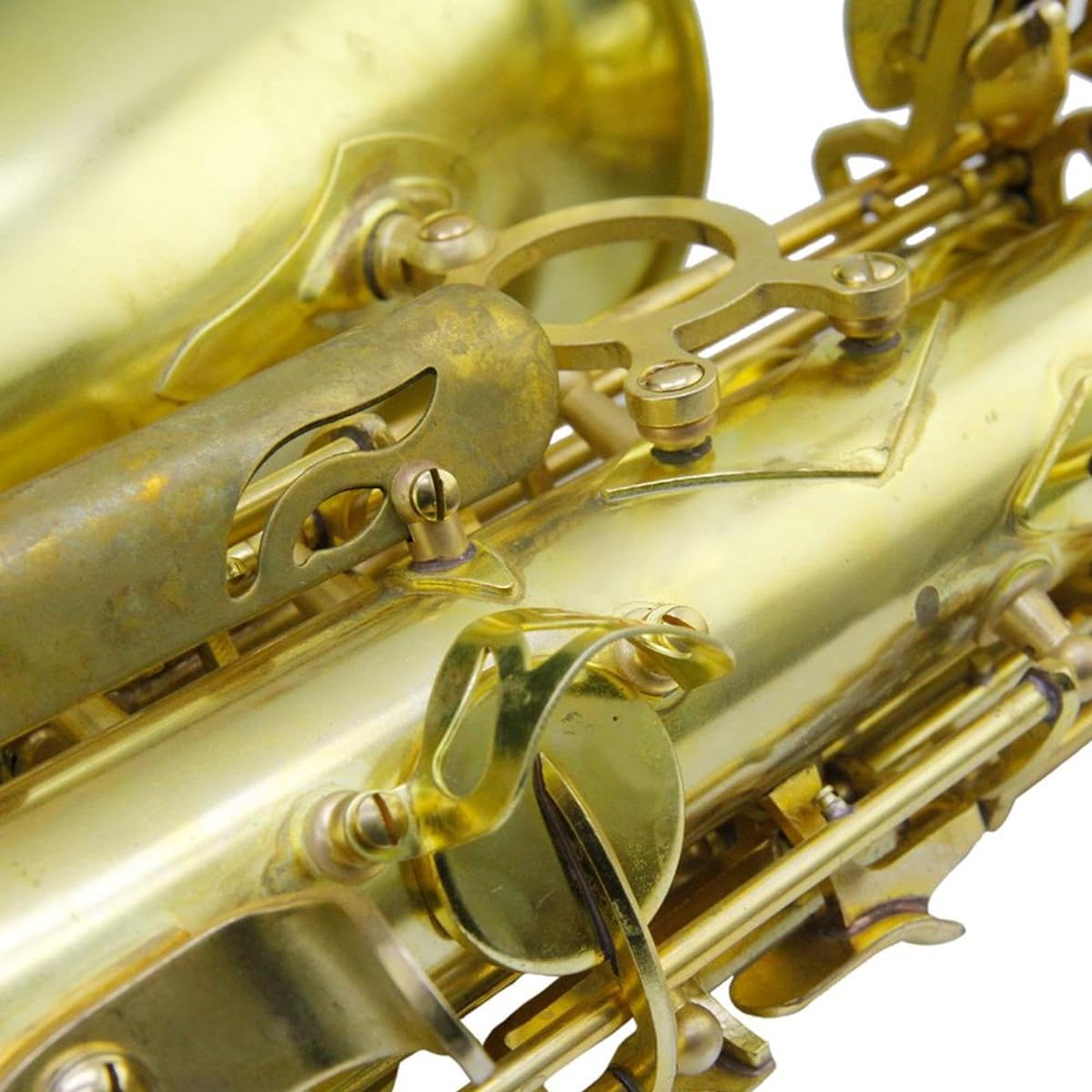 STARTIST Alto Saxophone Violin Sax with Metal Tone Booster, Accurate Sound Hole Clarinet Instrument Concert Gift for Beginners