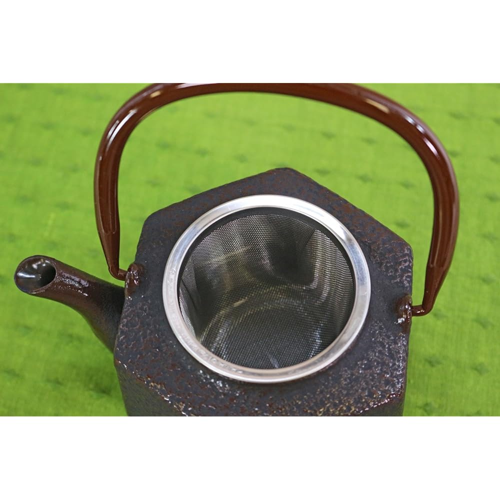 Nanbu Tekki Teapot Rokkaku Rikyu 0.5L (with tea strainer) T-5-16