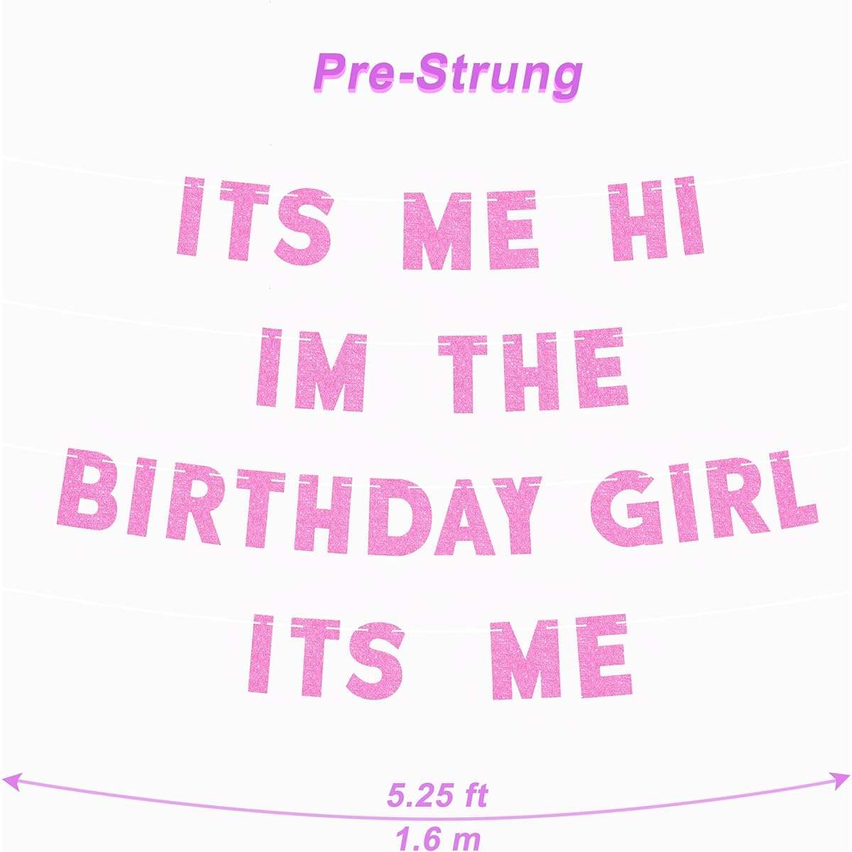Party Banner Strung Its Me Hi I'm the Birthday Girl Its Me Pink Swifty Party Garland Banner