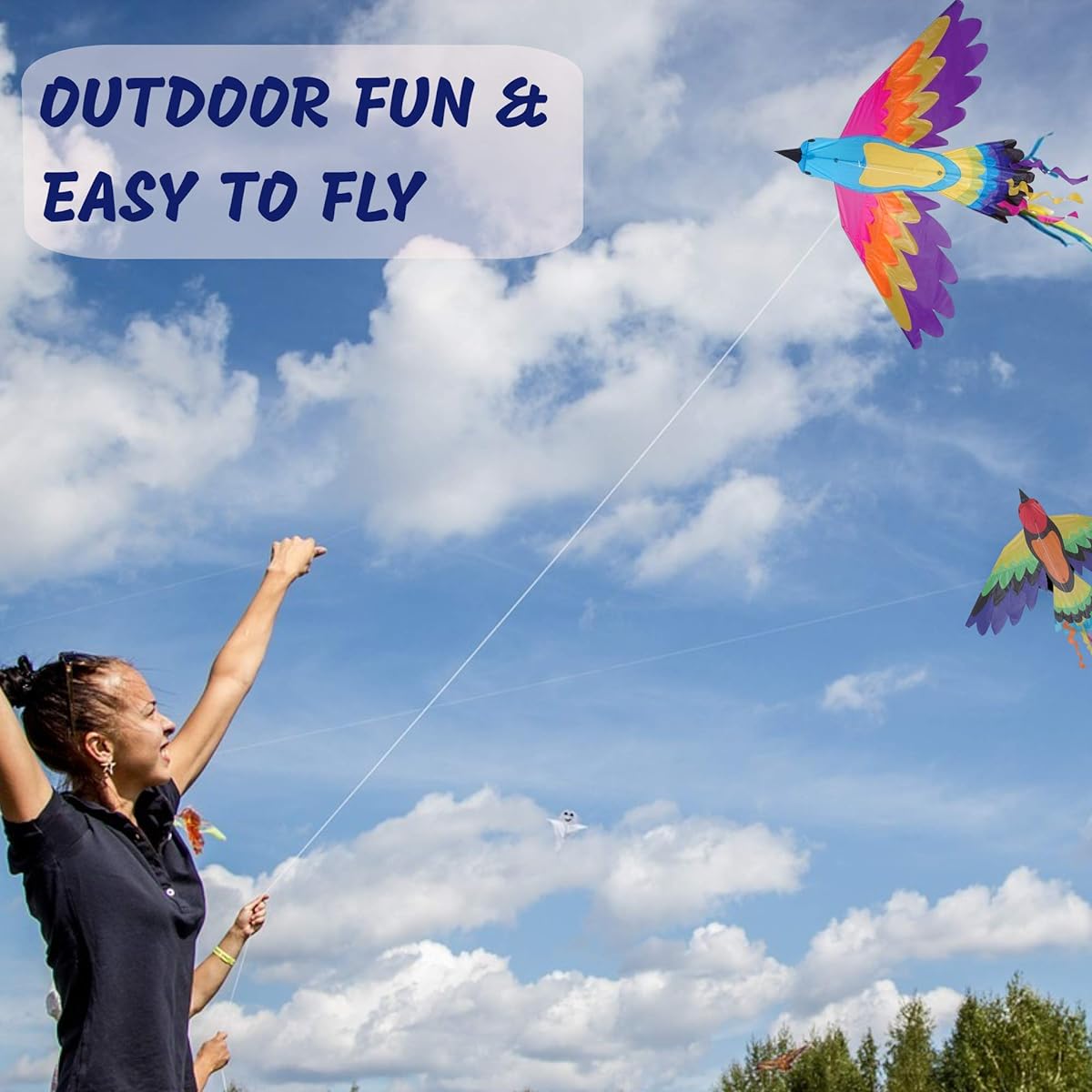 Premier Kites & Designs Bird Kite, Paradise, 70 x 36 by Premier Kites & Designs