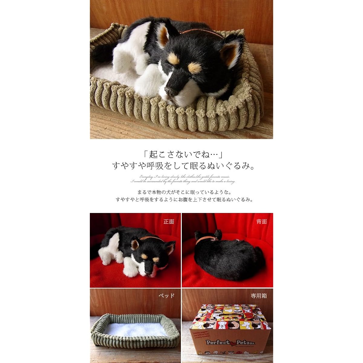 Nini and Kino Perfect Pet (Small Size) Shiba Inu (Black) Stuffed Toy Dog Dog Realistic Looks Like Kuroshiba Kuroshiba Miscellaneous Animal Healing Moving Present Gift Celebration Cute Dog Stuffed Toy