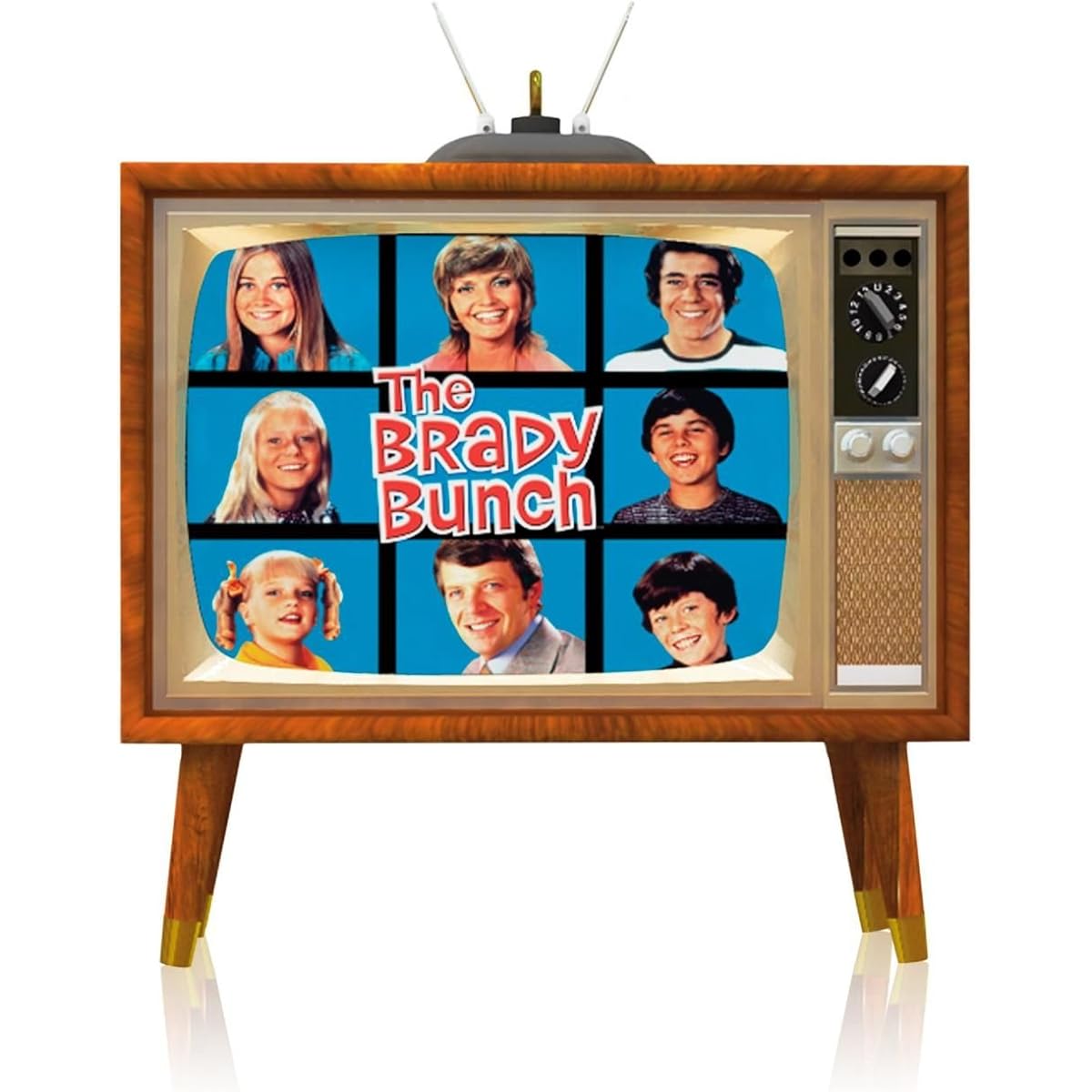 The Brady Bunch – 2014 Hallmark Keepsake Ornament