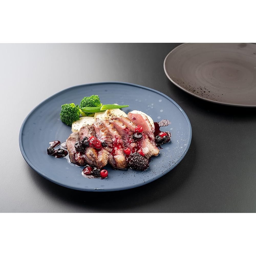 rebirth Japanese Tableware Series Tableware Set, 6 Pieces A, For 2 People, Plastic, Made in Japan, Light, Break-resistant, Microwave and Dishwasher Safe (Navy)