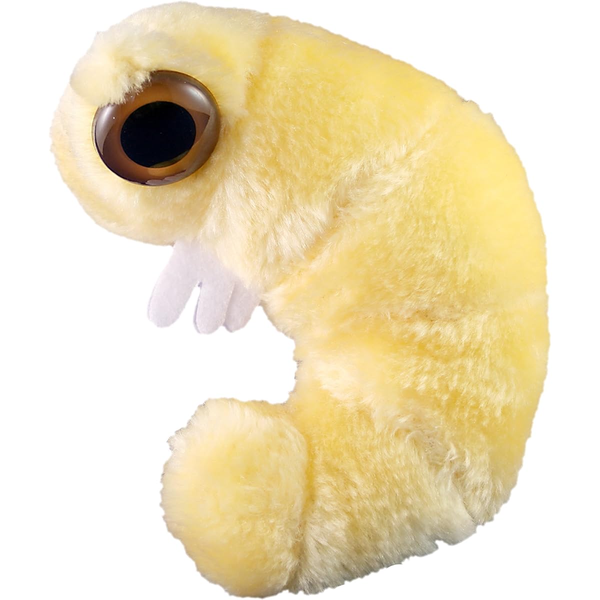 GIANTmicrobes Bookworm Plush Toy - Learn about science, microbes, books and worms with this great gift for friends, family, readers, librarians, scientists, book lovers, insect lovers and nature lovers.