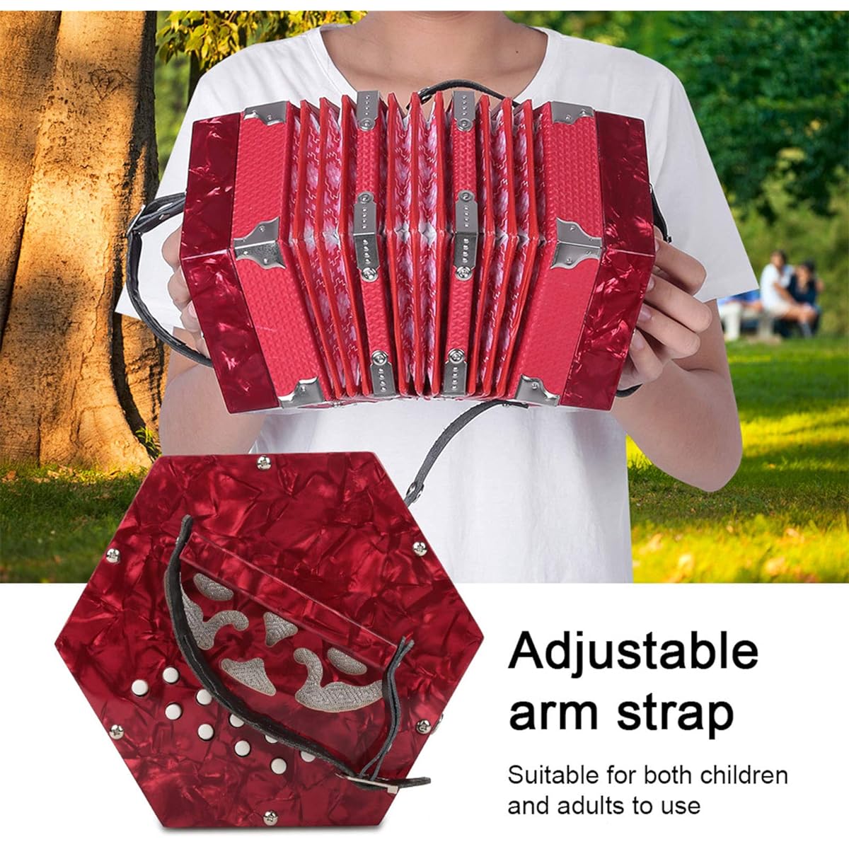 UPQRSG Adult 20 Button Accordion, Professional Accordion, Portable Professional Musical Instrument Supplies for Adults, Musical Instrument Accessories with Carrying Bag (Red)