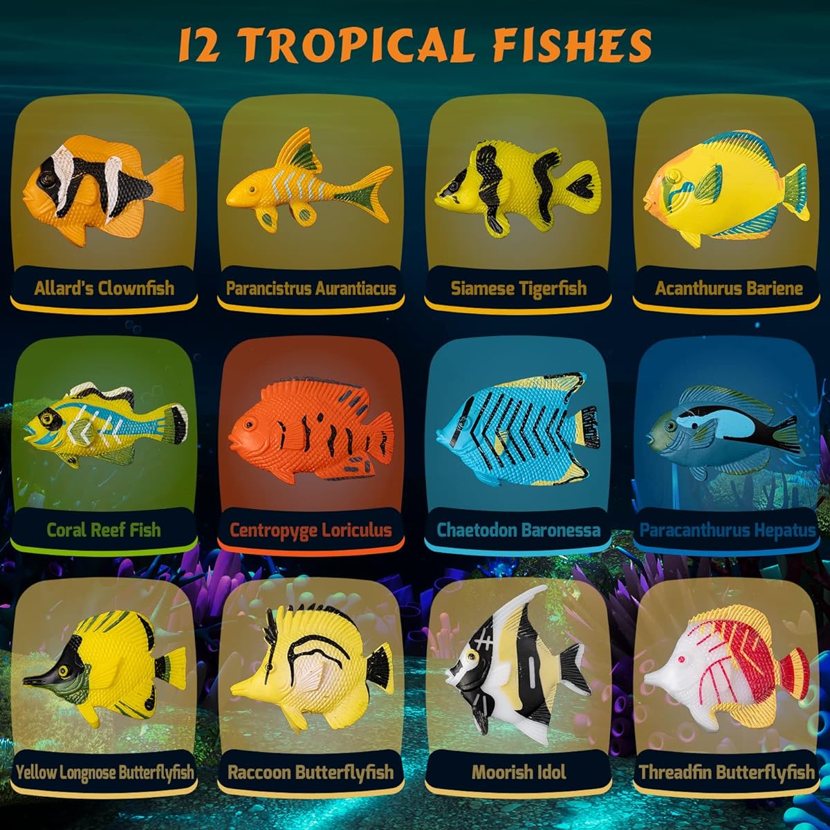 GobiDex Ocean Fish Dig Kit, Excavate 12 Sea Life Fish Toys, Science Kit for Kids 6-8-12 Years Old, STEM Educational Science Activity Toys for Boys and Girls, Ages 6+