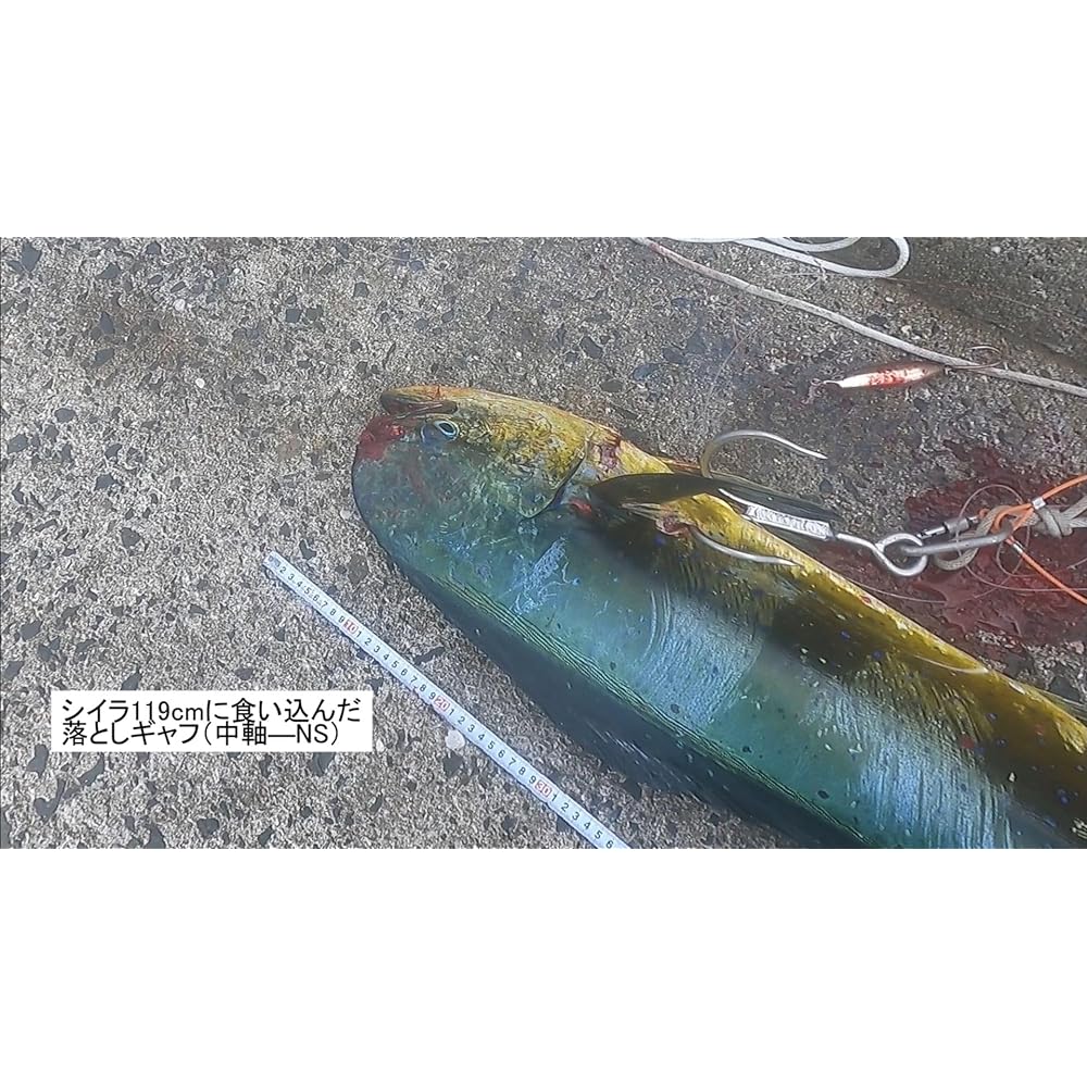 Dropping double gaff (patented) - Center shaft - Green object intake system - WT